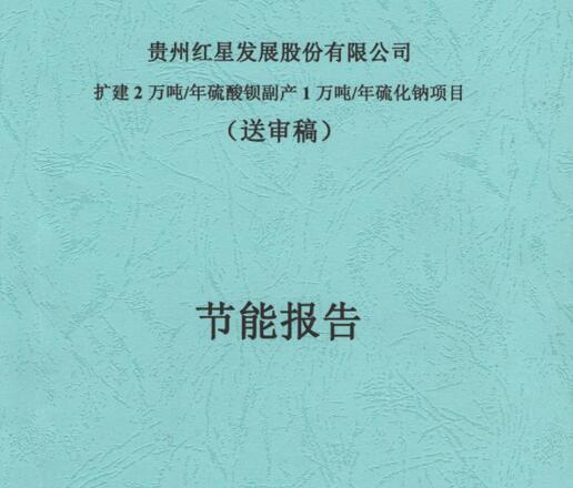 贵州红星发展股份有限公司《扩建2万吨/硫酸钡副产1万吨/年硫化钠》项目节能报告