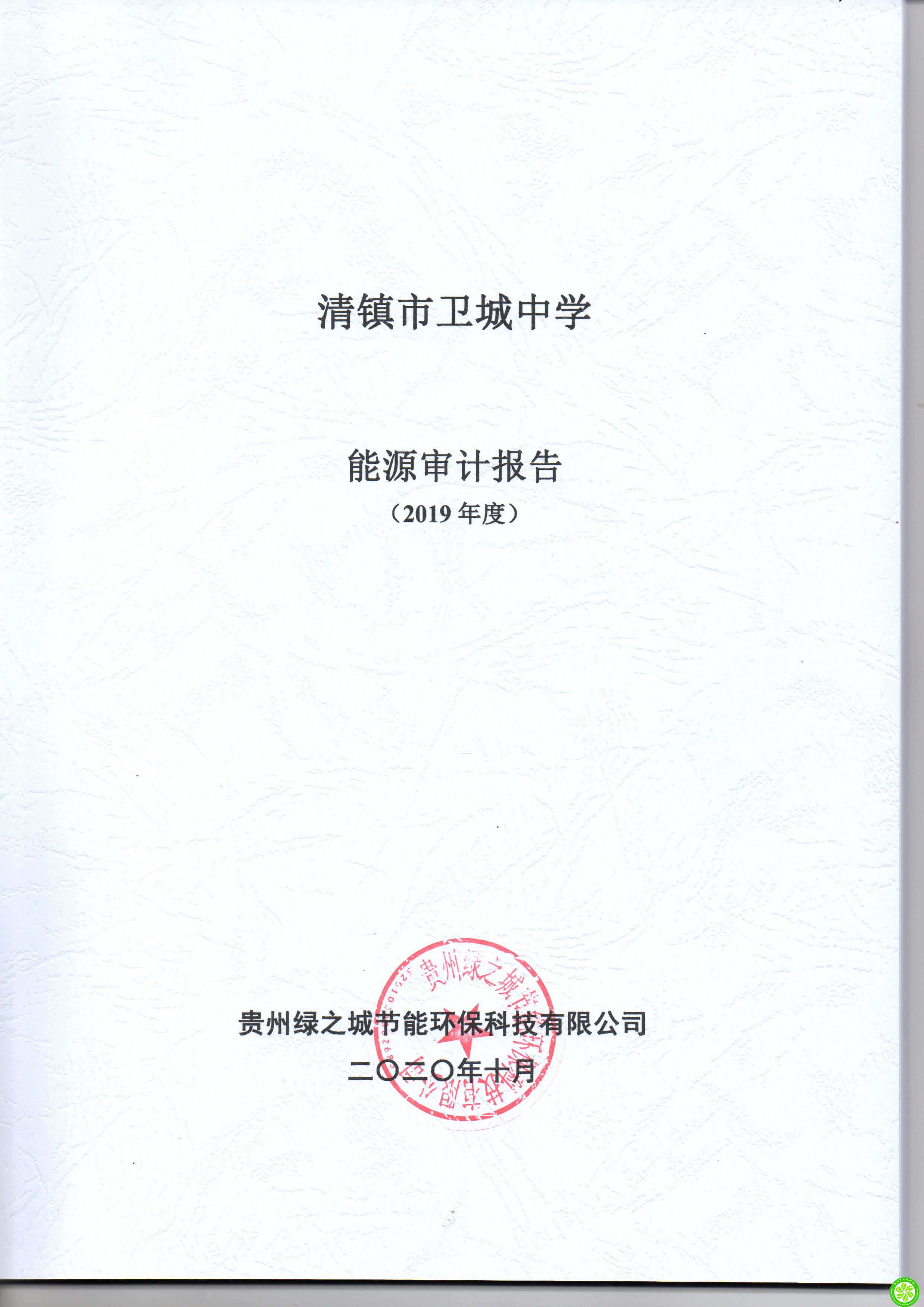 清镇市卫城中学2019年度能审计报告