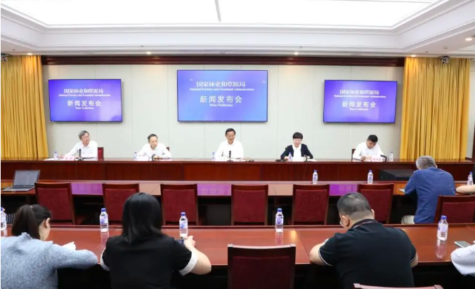 擅自占用林地用于采矿等，国家林草局通报10起毁林毁草典型问题