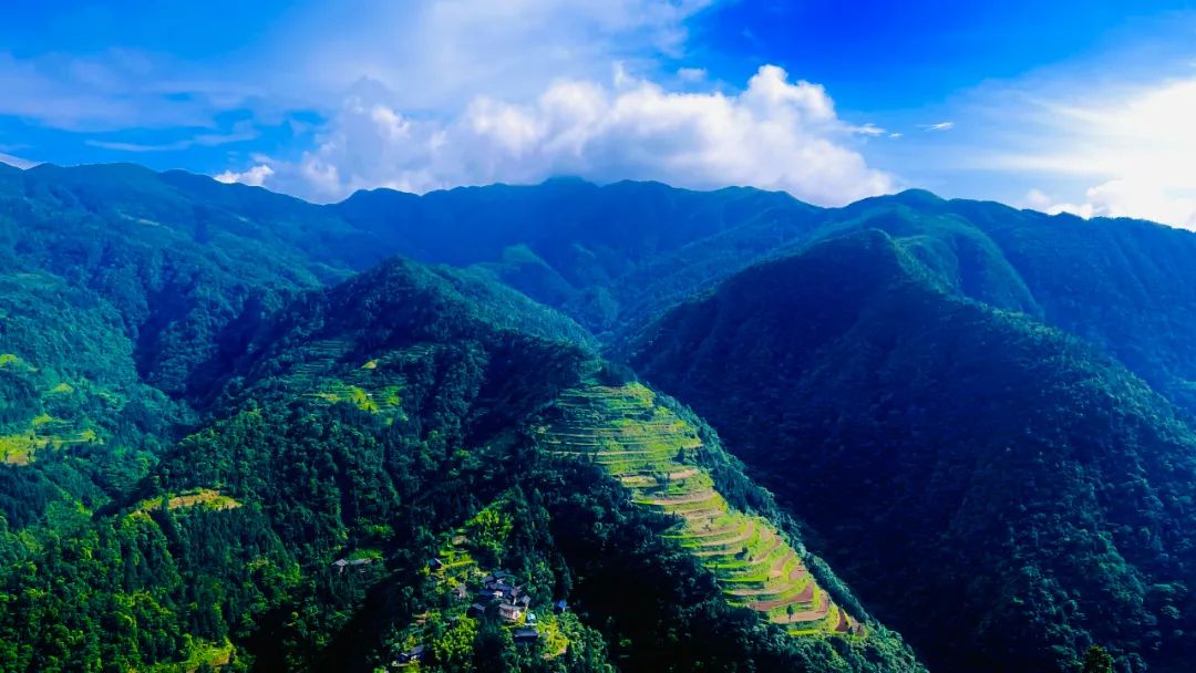 雷山：乘“两山”东风，让1204平方公里山水“生金”又“增绿”